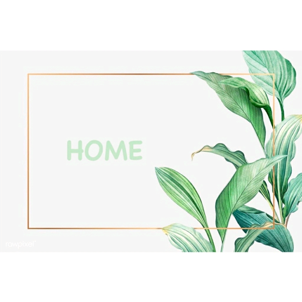 Home